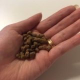 口コミ：無添加ドッグフード安心の画像（3枚目）