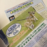 口コミ：無添加ドッグフード安心の画像（2枚目）