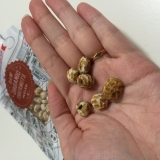 「画像」の画像（1枚目）