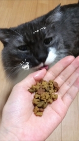 口コミ記事「ネコちゃん&diams;10歳からのねこ姫しらす＆かつお節添え」の画像