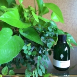 「遅くなりまして申し訳ありません。」の画像（1枚目）