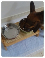 口コミ：人が食べられる食材で作った「無添加ドッグフード」♪の画像（5枚目）