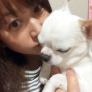 「ニオイ気になります！」「なめても安心！水で洗う除菌・消臭＆洗浄スプレー」モニター　10名様　大募集の投稿画像