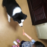 「餌付け」「なめても安心！水で洗う除菌・消臭＆洗浄スプレー」モニター　10名様　大募集の投稿画像