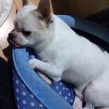 「キュッキュ11歳」の画像