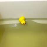 「温泉の薬草風呂みたい」の画像（1枚目）