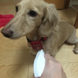 「追伸」の画像（1枚目）