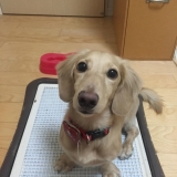 「モニターに参加して」の画像（3枚目）