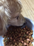 「クーちゃん」の画像（1枚目）
