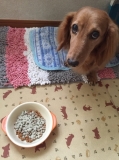「ご飯のうえにグロッシーコート」の画像（1枚目）