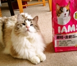 口コミ：アイムス　キャットドライフードの画像（12枚目）