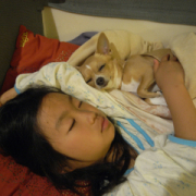 「チワワ」【ペットの贅沢水素水】わんちゃんとのベストツーショットください！！の投稿画像