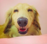 「顔出しＯＫです！ 　」の画像（1枚目）