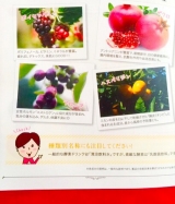 口コミ：【素敵な酵素】の画像（6枚目）