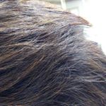 髪が細く、カラーも退色ぎみで痛んでますね #美remake #ダメージヘア #髪質改善 #moniplaのInstagram画像