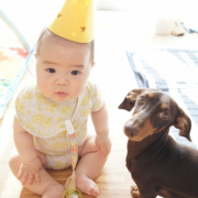 「我が家のわんず★」愛犬の「夜泣き」「無駄吠え」にお困りの方！10名様募集の投稿画像