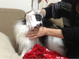 口コミ記事「険しい道のり☆息子」の画像