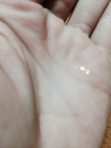 口コミ：フィルアップモイスチュアローション をつかっています。の画像（2枚目）