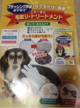 口コミ：険しい道のり☆息子の画像（4枚目）