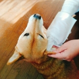 口コミ：モニター報告:ペットと暮らしている方、必見の画像（6枚目）