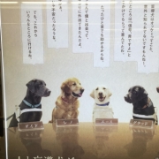 「とりあえず」＜３名限定＞ザ・リッツ・カールトン東京のアフタヌーンティーで座談会「アッカノン」の投稿画像