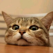 「我が家のアイドル」おもちゃの除菌、年末のお掃除に大活躍☆【超電水クリーンシュ！シュ！】の投稿画像