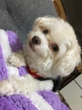 「よろしくお願いします」の画像（1枚目）