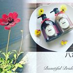 HAHONICO HAPPY LIFEさんのチョコレシャンプー＆トリートメントを試してみました💕🌸庭に咲いている、チョコレートコスモスの香りと似てましたよ😊🌸ノンシリコンってきしむ、っ&hellip;のInstagram画像