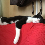 「座椅子の上で」おもちゃの除菌、年末のお掃除に大活躍☆【超電水クリーンシュ！シュ！】の投稿画像