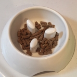 口コミ：
  ドッグフード♡
の画像（2枚目）