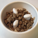 口コミ：
  ドッグフード♡
の画像（3枚目）