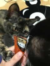 口コミ:シーバ とろ~り メルティの画像(3枚目)