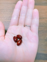 口コミ：夜のお付き合いのお供にしじみウコン肝臓エキスPrimeの画像（1枚目）