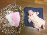 おもしろ？