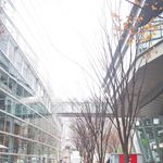 冬や曇りでも散々と降り注ぐ#紫外線 😱😱私にとって #日焼け止め は一年中欠かせないアイテム！でも日焼け止めってベタベタしたり、逆にカサカサしたり。日焼け止め特有の匂いやクレンジングも大変です&hellip;のInstagram画像