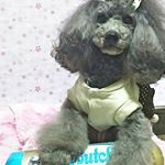 少し前に@butch.japan さんのモニターが当たったの🎵何度か食べたことがある無添加のドッグフード🍴とっても美味しくてあたしの大好きなもの❤今回はブルーレベルの犬猫兼用のブッチだったよ✨&hellip;のInstagram画像