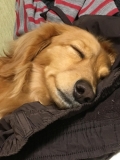 もか