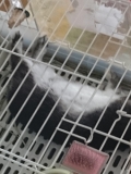 爆睡中の昼下がり
