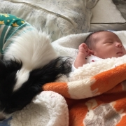 「いつも側に♡」かわいい寝！ペットの寝顔・寝姿フォトコンテストの投稿画像