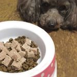 @butch.japan さんのホワイトレーベルを食べたよ(*&acute;&forall;`)♪ホワイトレーベルはワンちゃんもネコちゃんも食べれる安心安全無添加フード❗消化器系や皮膚が敏感で赤身肉が苦手な子に向いてる&hellip;のInstagram画像