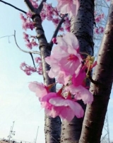 口コミ：よろしくお願いします！の画像（1枚目）