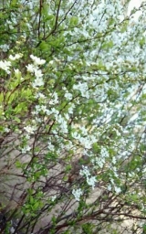 口コミ：よろしくお願いします！の画像（2枚目）