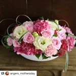 ピンクーーー！かわいすぎる❤️#Repost @angers_mothersday with @repostapp・・・#アンジェのお花屋さん【name#重なる花弁が美しい陶器アレンジ&hellip;のInstagram画像