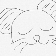 「noiわんこ」noi公式Twitterカバー画像デザイン大募集！の投稿画像