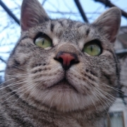 「oi公式Twitterカバー画像デザイン」noi公式Twitterカバー画像デザイン大募集！の投稿画像