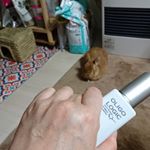 スベスベだよ～#オリゴロジック #オリゴ糖 #美肌菌 #美容液 #monipla寝る前につけて４ヶ月まず手の甲につけてから顔にするするつけたあとそんなにべとつかないから&hellip;のInstagram画像