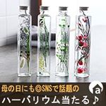 お母さん。なんだかんだ言ってもいつも味方になってくれてありがとう☺️お母さんになって初めてお母さんの大変さが分かりました。私もお母さんみたいなお母さんになれるように頑張ります！これから&hellip;のInstagram画像