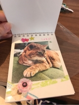 口コミ記事「子供のアルバムをデコれる！マイブックライフring」の画像