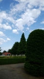 最近のお気に入り