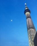 お気に入り写真